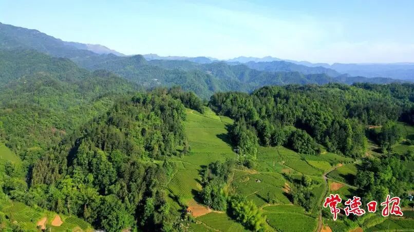 202512031.jpg 202512031.jpg